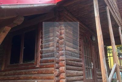 Hotel/Pensiune, de 428 mp, în Malul Ursului - 20