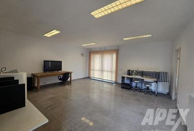 Spatiu Comercia 144 m | Teren 400 m | Clinceni- Domnesti - 4