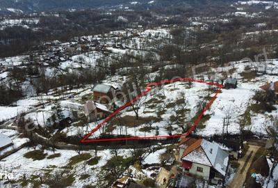 Teren de 3011 mp, în Bradu