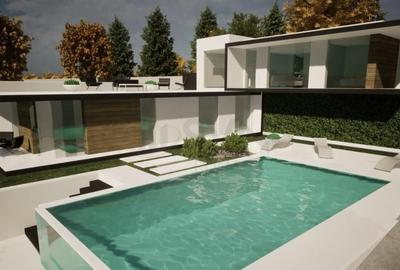 Vila de in Branesti Vila de in Branesti - 7