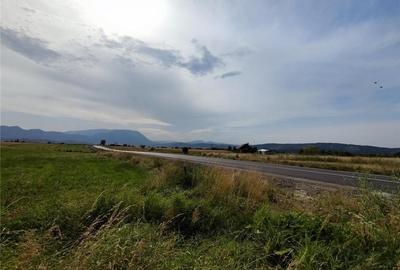 Teren de 10000 mp, în Bran - 2