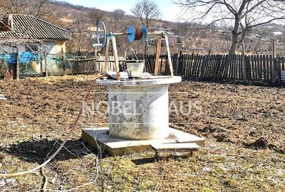 Casa, teren si padure, in sat Siscani, jud Vaslui - 10