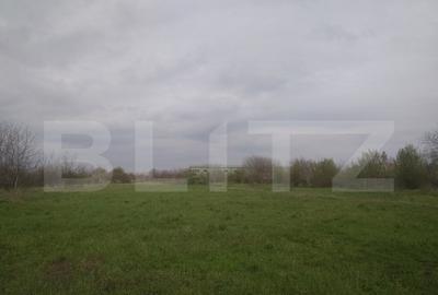 Teren intravilan, 3515 mp, zona Crevedia - 5