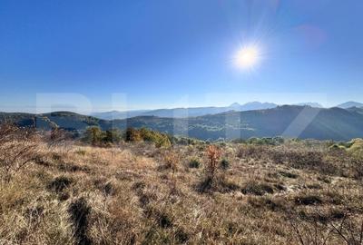 Teren de vanzare - 3