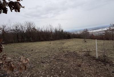 Spațiu comercial, în Buzești - 4