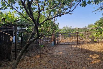 Spațiu comercial, în Central - 1