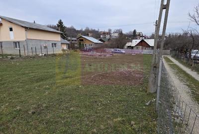 Teren Construcții intravilan de 617 mp, în Lac de Verde - 2