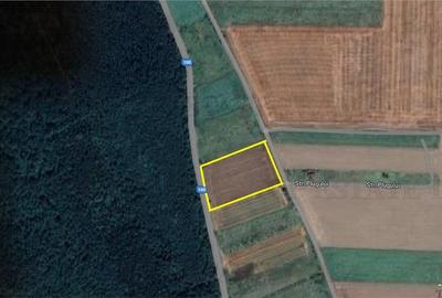 Teren Construcții intravilan de 1016 mp, în Brănești - 3