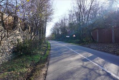 Teren de vanzare in Leamna de Jos - 11