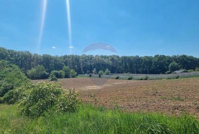 Teren 872,43 mp Snagov - 7