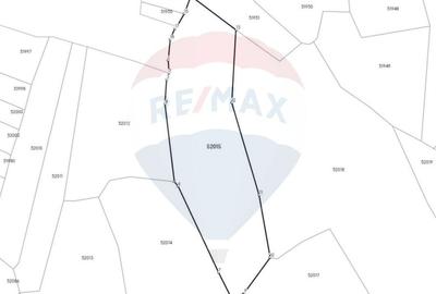 Teren extravilan de 10054 mp, în Mănăstirea - 4