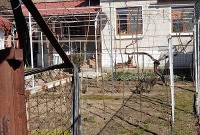 Casă cu 3 camere decomandat în Exterior Vest - 8