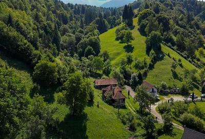 FILM! Proprietate autentica, Bran-Simon, 4.300 mp teren, casa traditionala + ane - 11