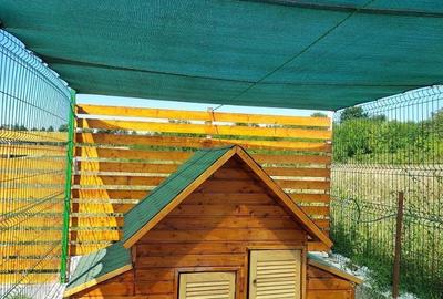 Casă cu 3 camere cu Teren 500 Mp în Periș - 12