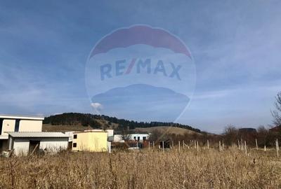 Teren Construcții intravilan de 500 mp, în Sânpetru - 4