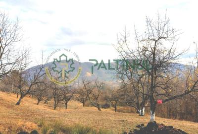 Teren 1960  mp Sibiu,  Cetatea Cisnadioara - 4