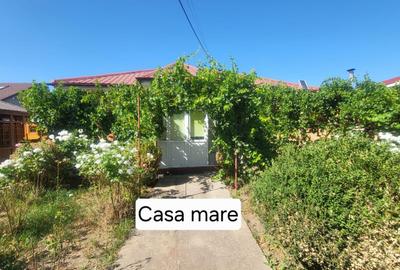 Casa moderna de vanzare Valul lui Traian - 13