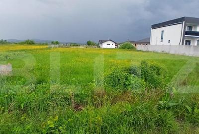 Teren extravilan 16 arii Jelna - 7