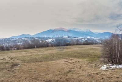 Teren Construcții intravilan de 4500 mp, în Tohanu Nou - 7