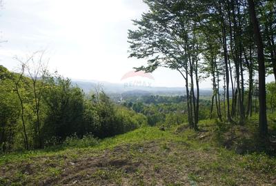 Teren Construcții intravilan de 15000 mp, în Sud-Vest - 9