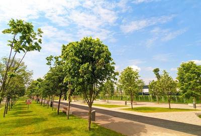 Spatiu comercial 240 mp, Drumul Binelui stradal, Metalurgiei Park - 21