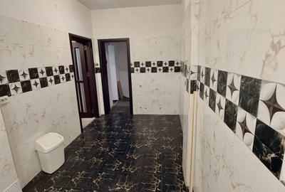 Casă individuală cu 10 camere cu Canalizare în Parcul Carol - 21