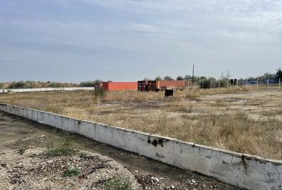 Ovidiu 6 ha teren intravilan construibil îngrădit și platforma betonata. - 8