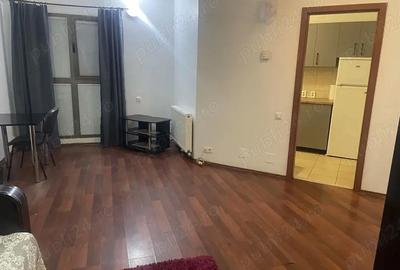 Garsonieră semidecomandată, mobilată în Doamna Ghica - 7