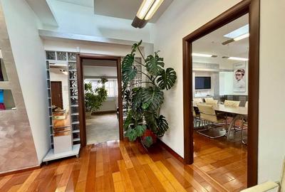 Vila  de inchiriat 11 camere  D+P+2 Timpuri noi 12 locuri de parcare 500 mp util - 4