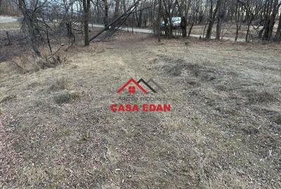 Casă cu Teren 3074 Mp în Cornu - 2