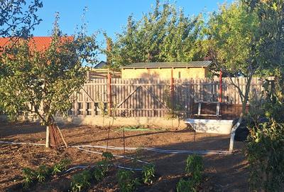 Vand casa - 4
