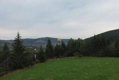 Teren 5023 mp In Bucovina Zona Manastirea Voronet De Vanzare 0727817187 - 6