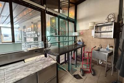 Casă individuală cu 4 camere cu Canalizare în Grădina Icoanei - 7