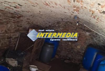 Casa veche cu Anexe cu 1313 mp Teren in Lancram centru la asfalt toate utilitatiile - 2