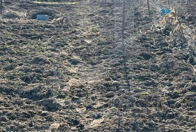 Teren extravilan cu gradina in Saliste - 6