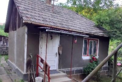 Casa in Zlatna - 3