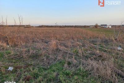 Spațiu comercial, în Ghiroda - 2