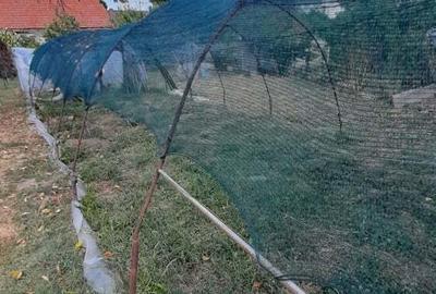 De vanzare casa, curte ?i gradina in Ora?tie De vanzare casa, curte ?i gradina in Ora?tie - 7