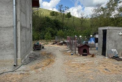 Casă cu 4 camere cu Teren 2200 Mp în Lugoj - 2