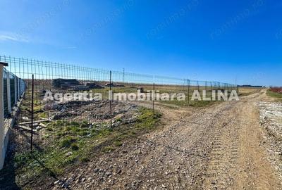 Teren de 680 mp, în Peștișu Mare - 5