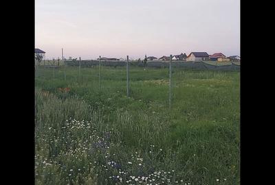 Spațiu comercial, în Domnești - 3