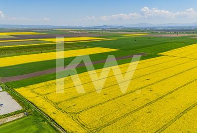 Teren agricol extravilan de 10600 mp, în Codlea - 11