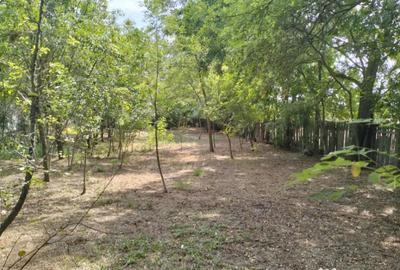 Teren de 4975 mp, în Belciug - 13