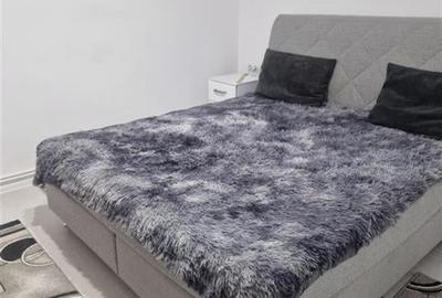 RECO, Doua case la pret de una, in exclusivitate, Zona Tarcea, Bihor - 4