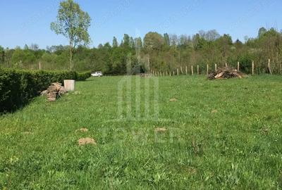 Teren de vanzare in reprezentare exclusiva, situat pe Valea Avrigului! - 6