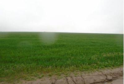 Teren de 4849 mp, în Valea Mare