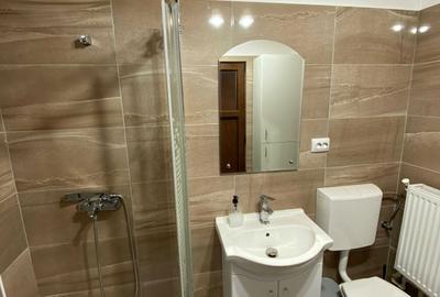 Casă cu 3 camere în Râmeț - 1