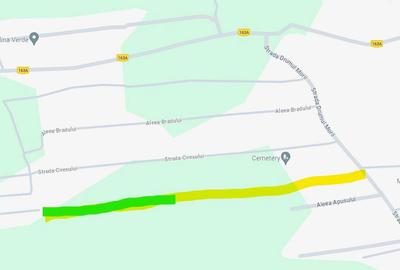 Teren de 14935 mp, în Trivale - 7