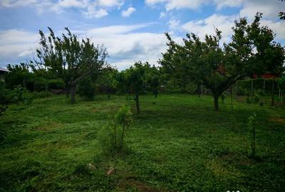 Teren de 800 mp, în Siminoc