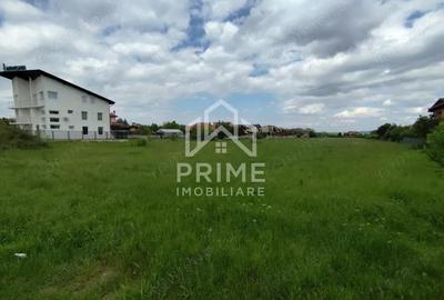 Teren de 2600 mp, în Cetate